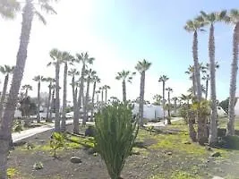 Palmeras Garden 普拉亚布兰卡